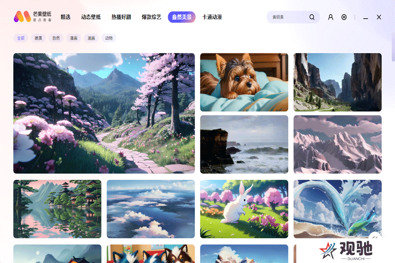 芒果壁纸标准版