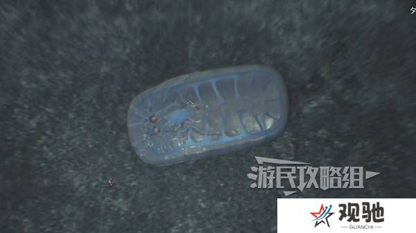 怪物猎人荒野大虚无动在哪捕获    大虚无动捕获攻略图片8
