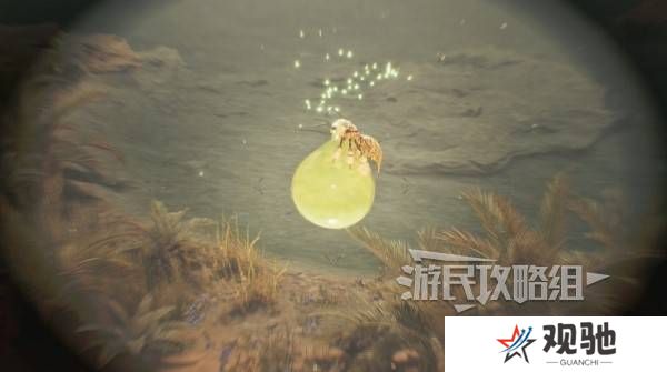 怪物猎人荒野大回复蜜虫位置在哪  大回复蜜虫捕获路线图片5