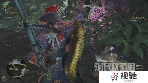 怪物猎人荒野黄金鱼怎么钓    钓黄金鱼位置一览图片6
