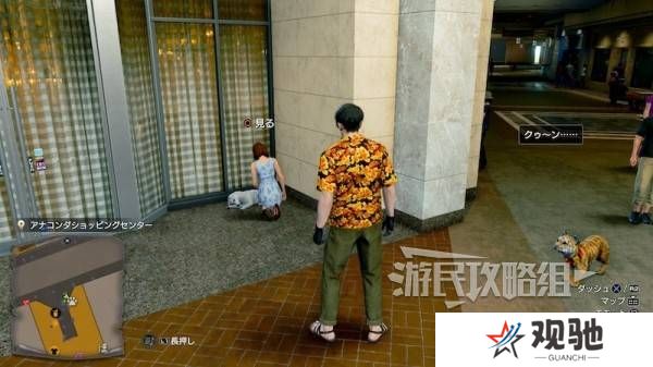 如龙8外传救护动物位置总汇   救护动物食材盘点图片19