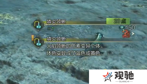 游侠网5