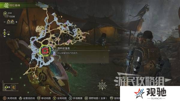 怪物猎人荒野黄金鱼怎么钓    钓黄金鱼位置一览图片3