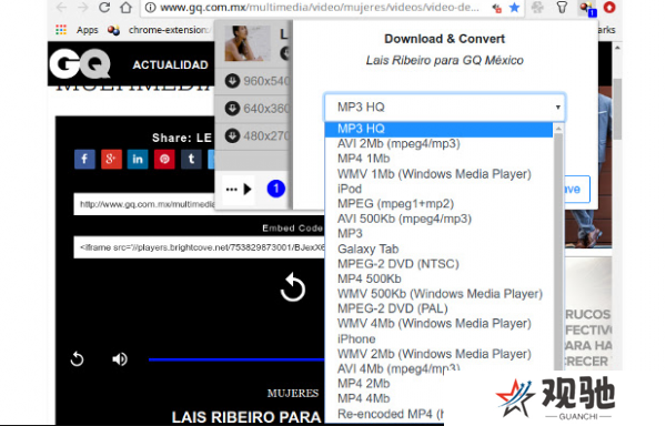 Video DownloadHelper桌面版