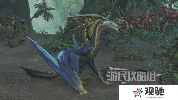 怪物猎人荒野翼龙的皮在哪里获取    翼龙的皮怎么获得图片8