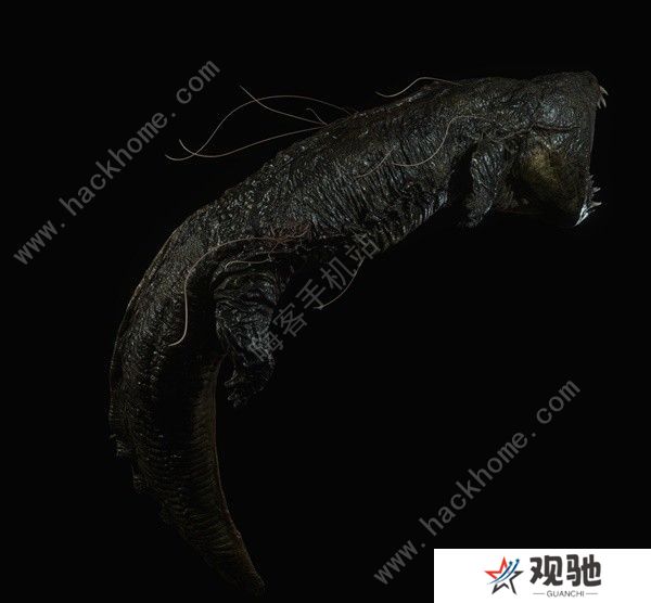 生化危机4重制版全章节速通攻略 1-15章通关技巧图片3