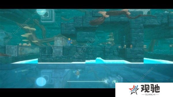 潜水员戴夫攻略大全 新手必玩技巧总汇图片19