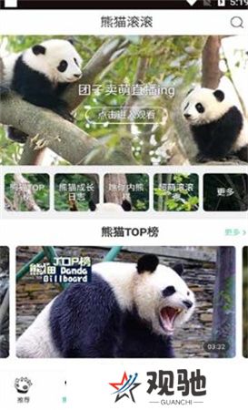 熊猫频道app下载