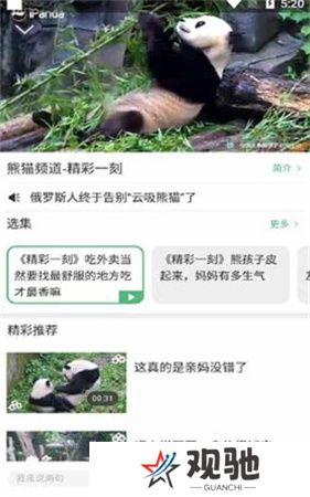 熊猫频道app下载