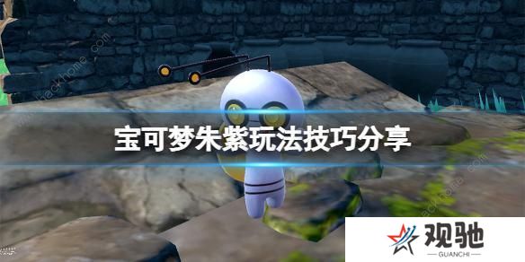 宝可梦朱紫攻略大全 新手必备技巧总汇图片1