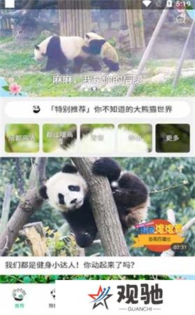 熊猫频道app下载
