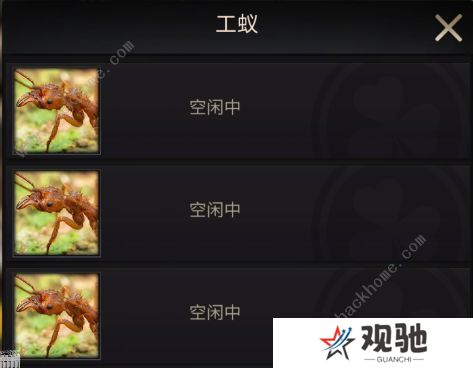 小小蚁国攻略大全 新手少走弯路技巧总汇图片2