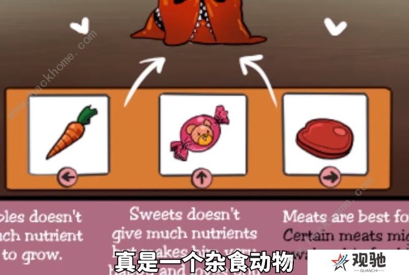 homegrownpet攻略最新大全 2022homegrownpet全结局达成总汇图片1