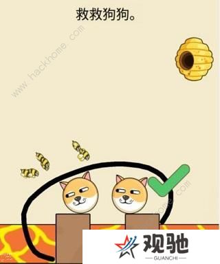 救救狗狗蜜蜂游戏攻略大全 全关卡通关总汇图片6