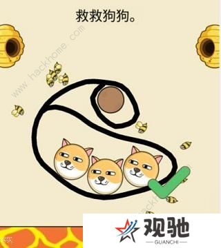 救救狗狗蜜蜂游戏攻略大全 全关卡通关总汇图片8