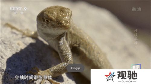 星火电视直播TV