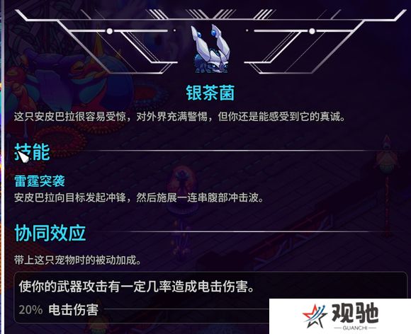 崩溃大陆2宠物图鉴攻略大全   全部宠物技能
